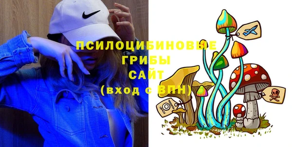 СК Щигры