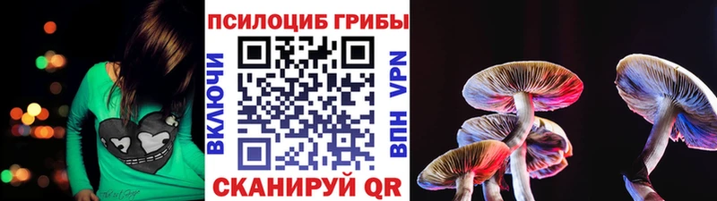 Галлюциногенные грибы Psilocybine cubensis  Кемерово 