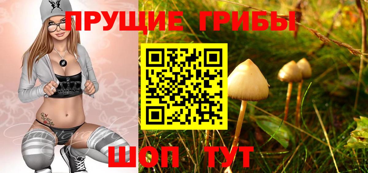 Псилоцибиновые грибы Magic Shrooms Кемерово
